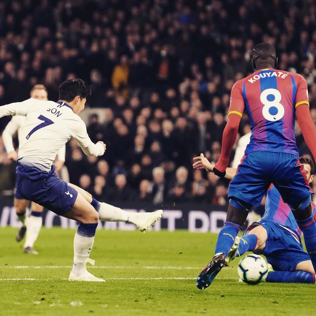 他在本届美 他在本届美